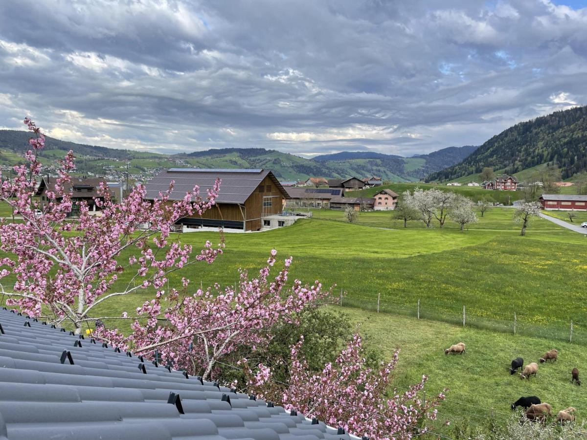 Naturnoech Unterageri Exterior photo