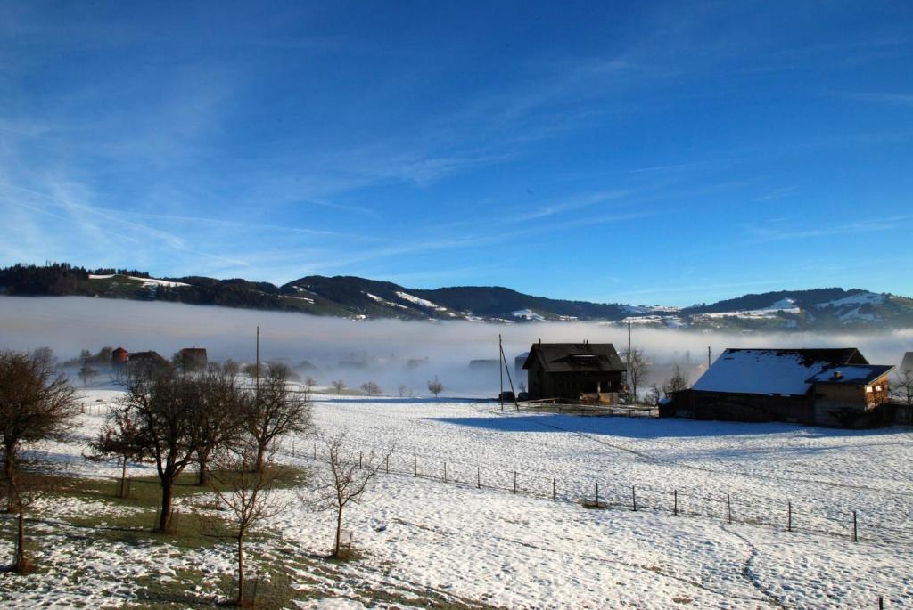 Naturnoech Unterageri Room photo